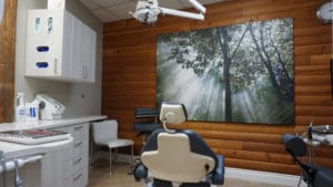 Monashee Dental Centre - Dr Paula Winsor-Lee - Lumby BC - Page Hero - 2145